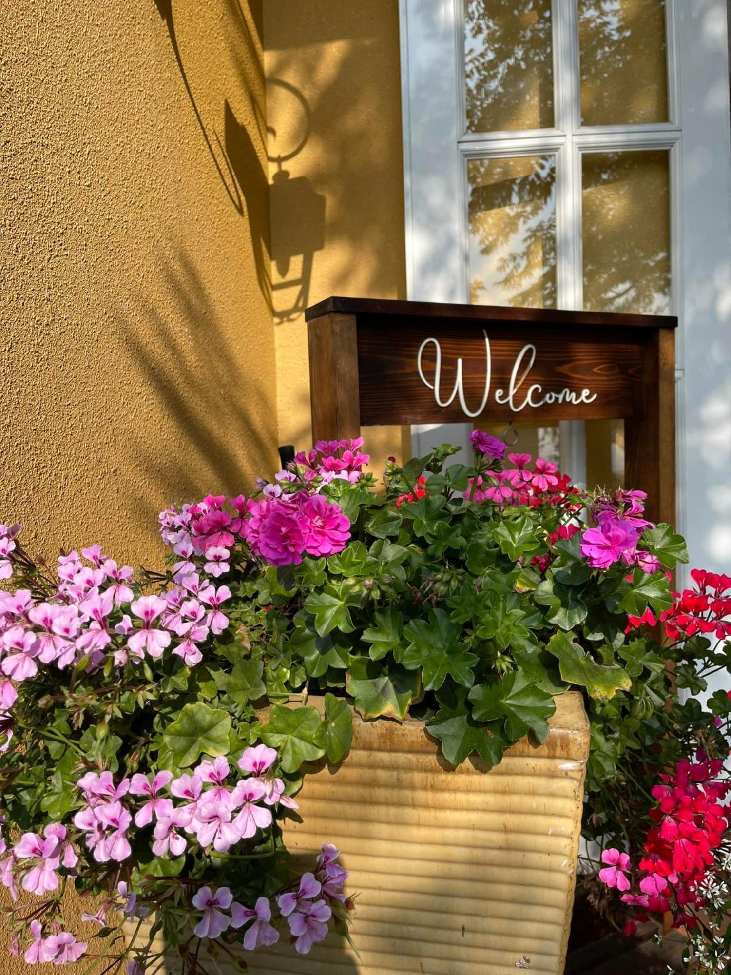 Hotel Bich Dao Boutique - Dalat Exterior foto