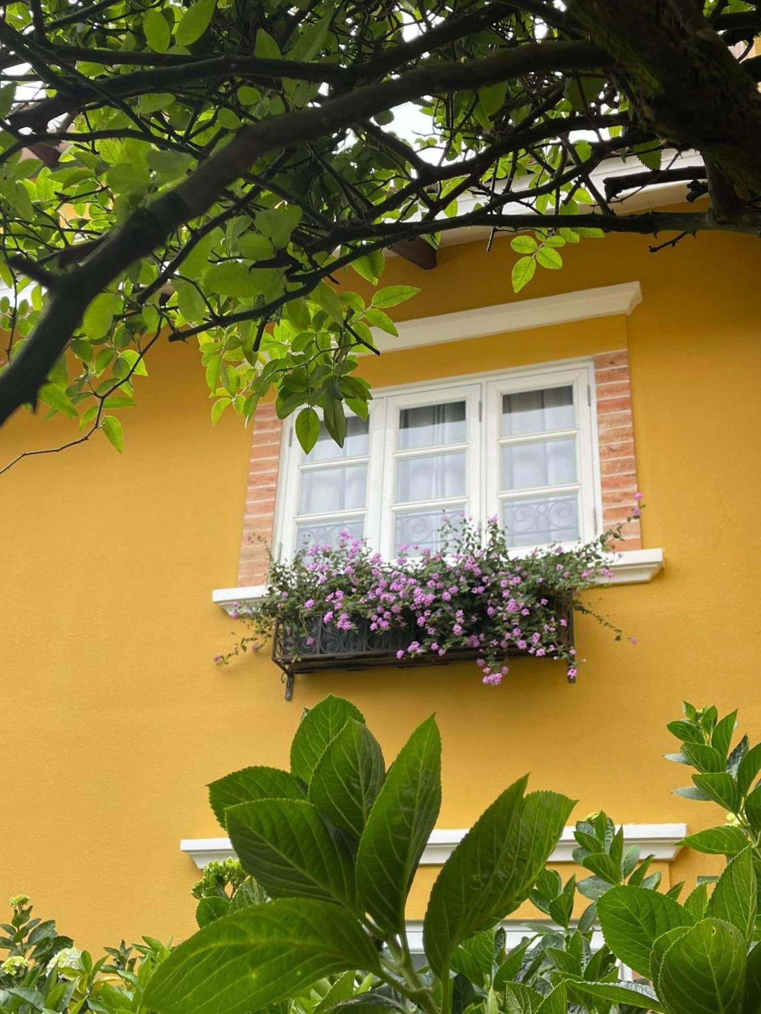Hotel Bich Dao Boutique - Dalat Exterior foto