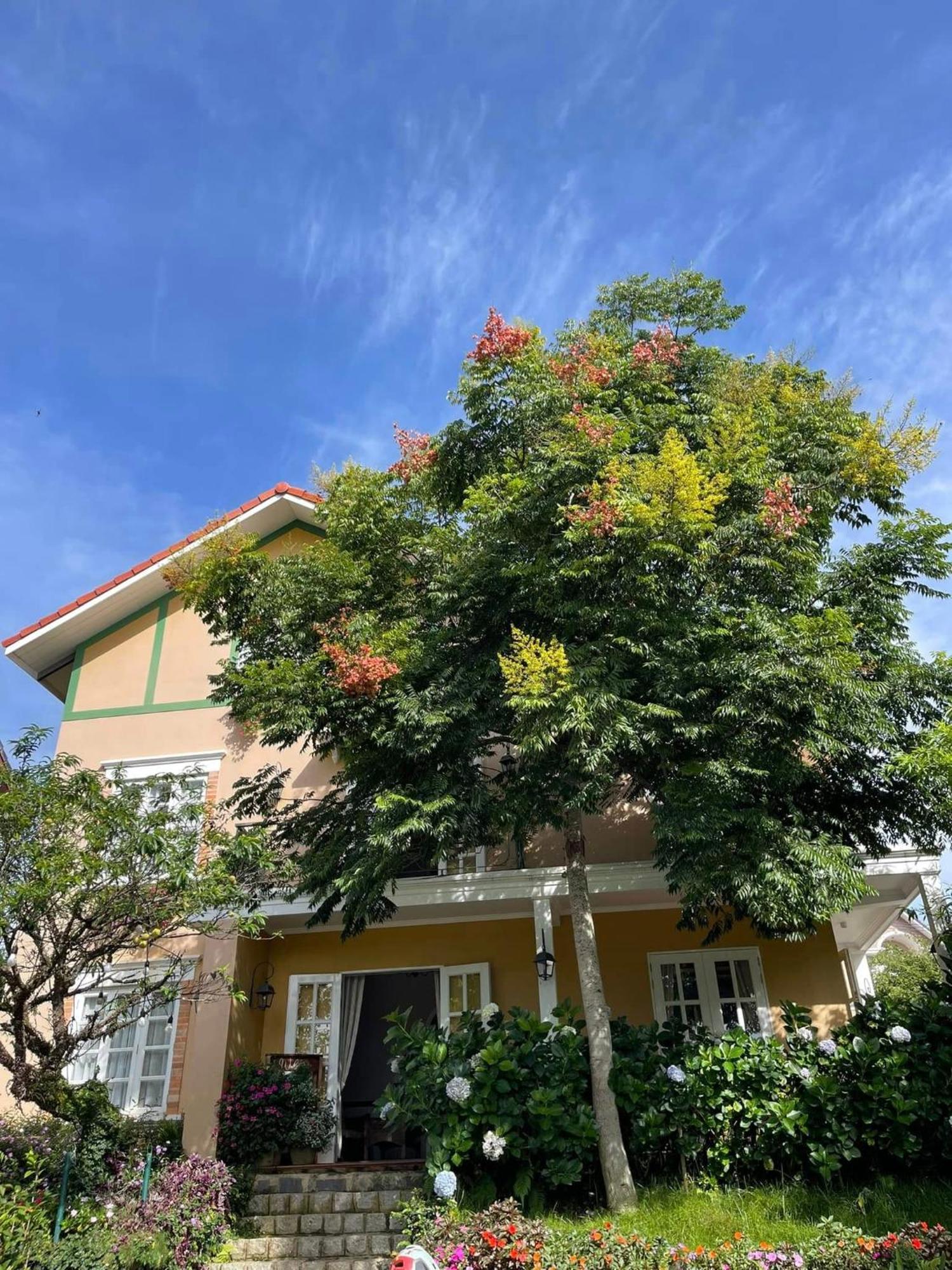 Hotel Bich Dao Boutique - Dalat Exterior foto